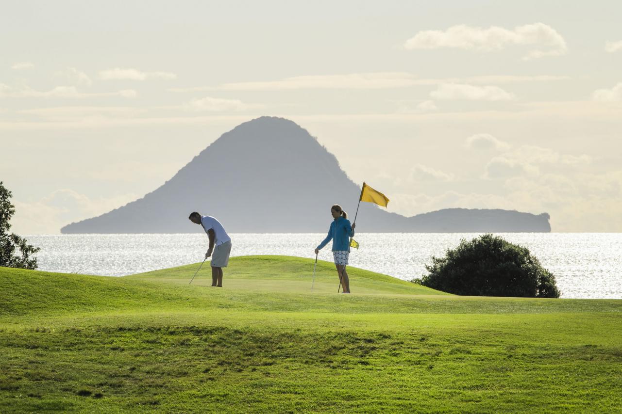 Golfers with Moutohora in background